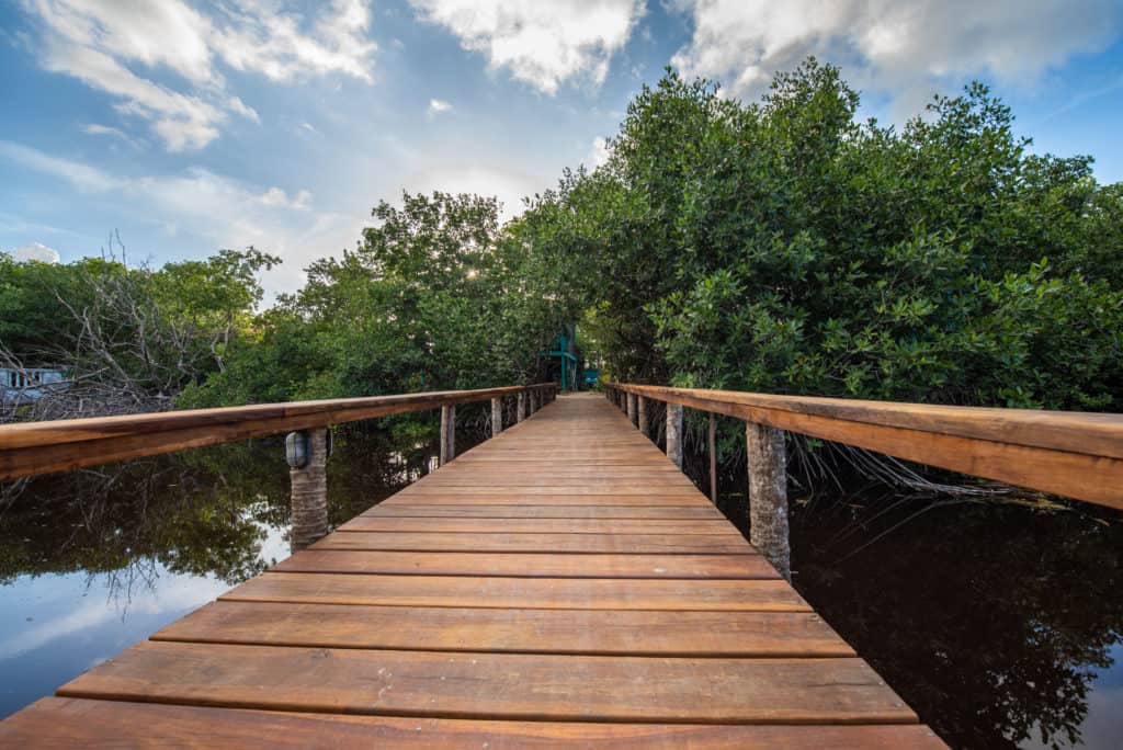 BellaVistaResort_HaydeeLuStudio-35